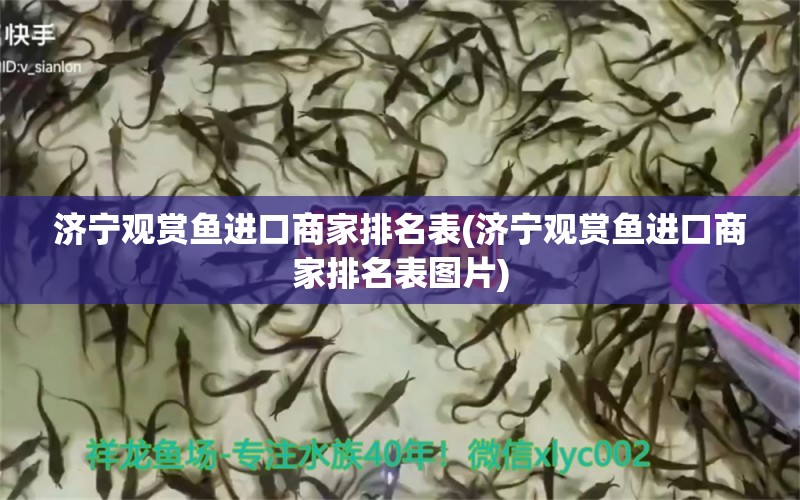 济宁观赏鱼进口商家排名表(济宁观赏鱼进口商家排名表图片)