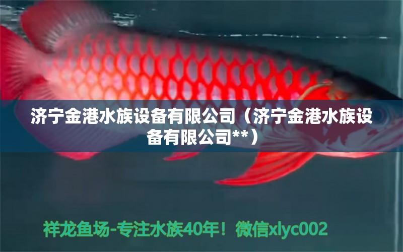 济宁金港水族设备有限公司（济宁金港水族设备有限公司**）