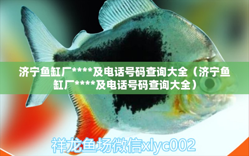 济宁鱼缸厂****及电话号码查询大全（济宁鱼缸厂****及电话号码查询大全） 白子黑帝王魟鱼