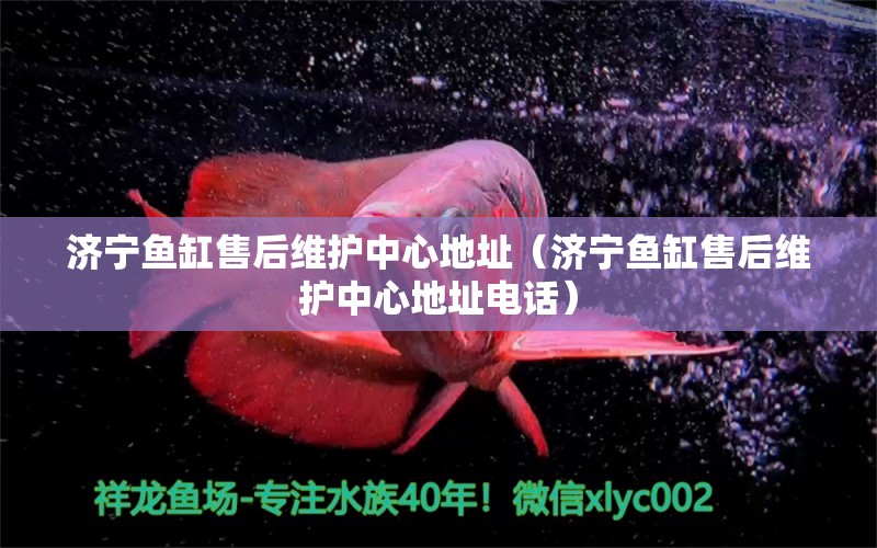 济宁鱼缸售后维护中心地址（济宁鱼缸售后维护中心地址电话） 其他品牌鱼缸