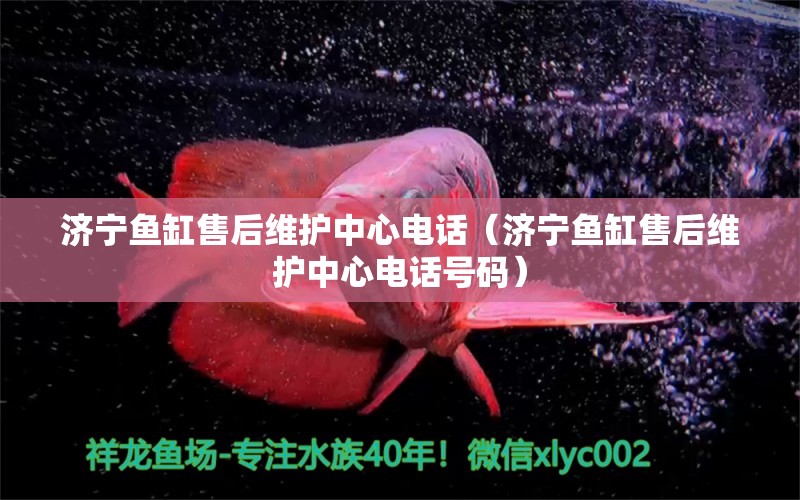 济宁鱼缸售后维护中心电话（济宁鱼缸售后维护中心电话号码）