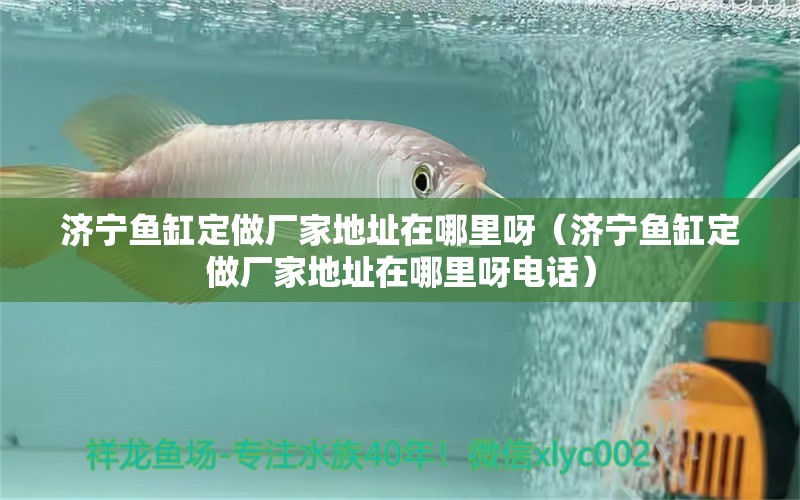 济宁鱼缸定做厂家地址在哪里呀（济宁鱼缸定做厂家地址在哪里呀电话）