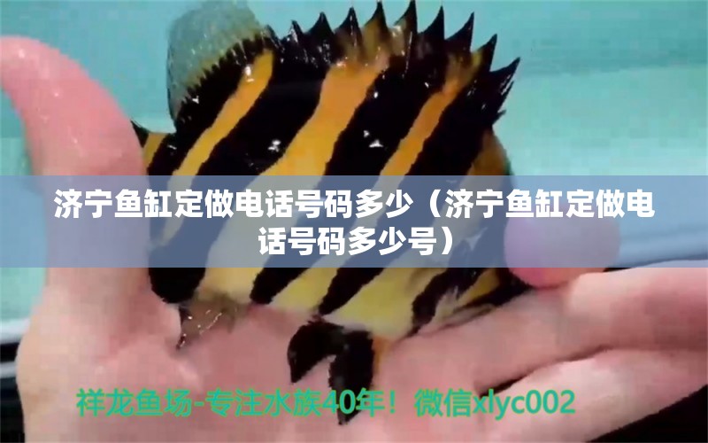 济宁鱼缸定做电话号码多少（济宁鱼缸定做电话号码多少号） 祥龙水族医院