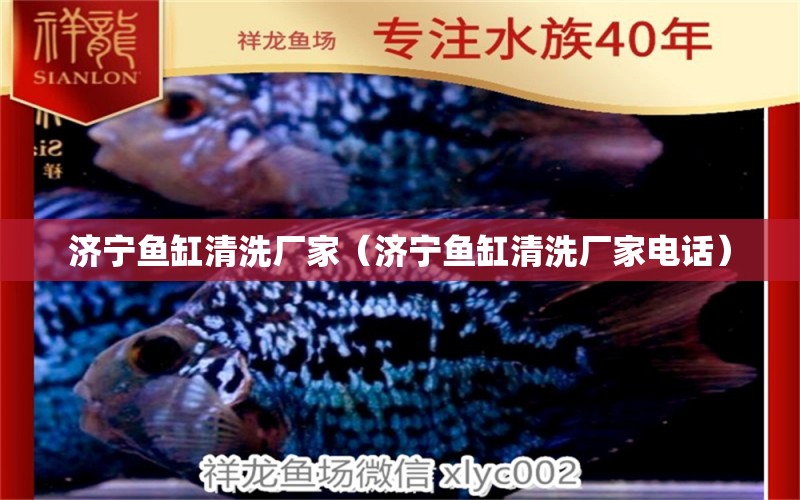 济宁鱼缸清洗厂家（济宁鱼缸清洗厂家电话） 其他品牌鱼缸