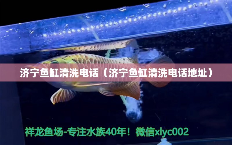 济宁鱼缸清洗电话（济宁鱼缸清洗电话地址）