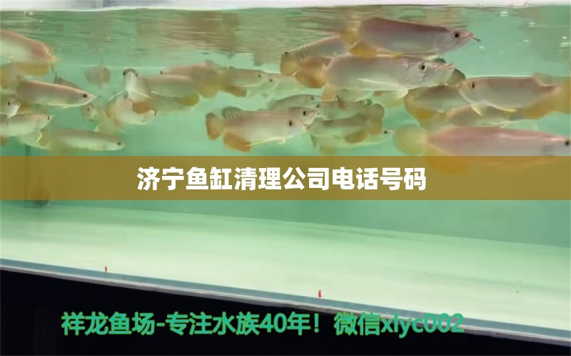 济宁鱼缸清理公司电话号码 