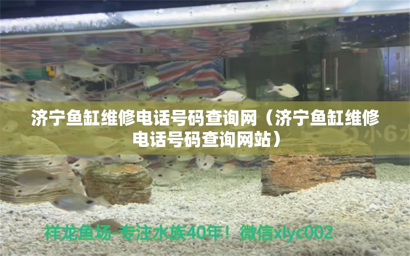 济宁鱼缸维修电话号码查询网（济宁鱼缸维修电话号码查询网站）