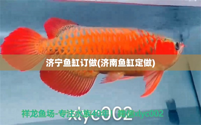 济宁鱼缸订做(济南鱼缸定做)