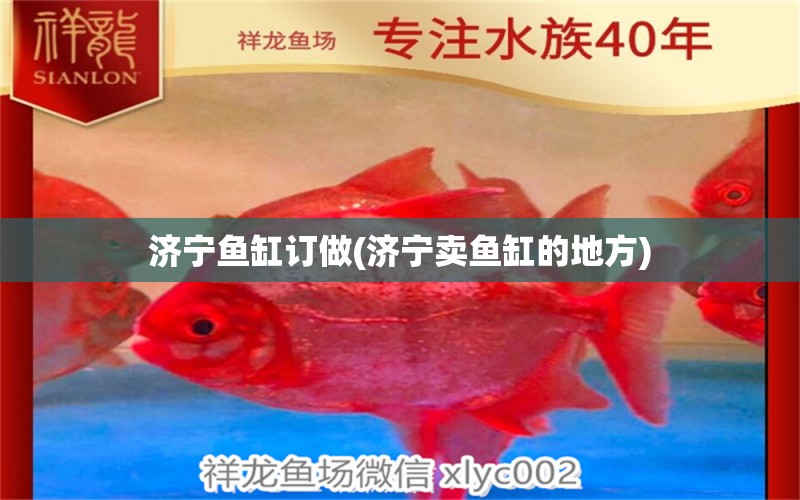 济宁鱼缸订做(济宁卖鱼缸的地方)