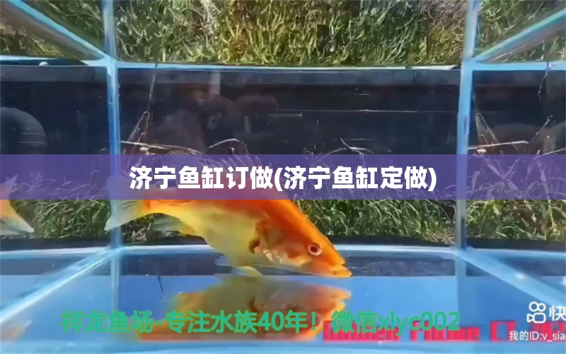 济宁鱼缸订做(济宁鱼缸定做)