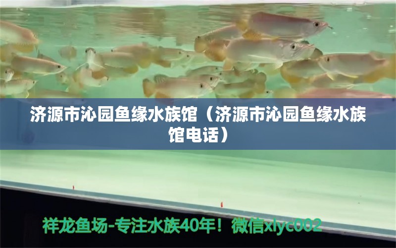 济源市沁园鱼缘水族馆（济源市沁园鱼缘水族馆电话） 全国水族馆企业名录