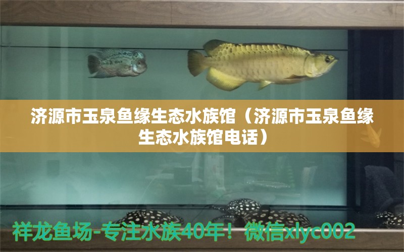 济源市玉泉鱼缘生态水族馆（济源市玉泉鱼缘生态水族馆电话）