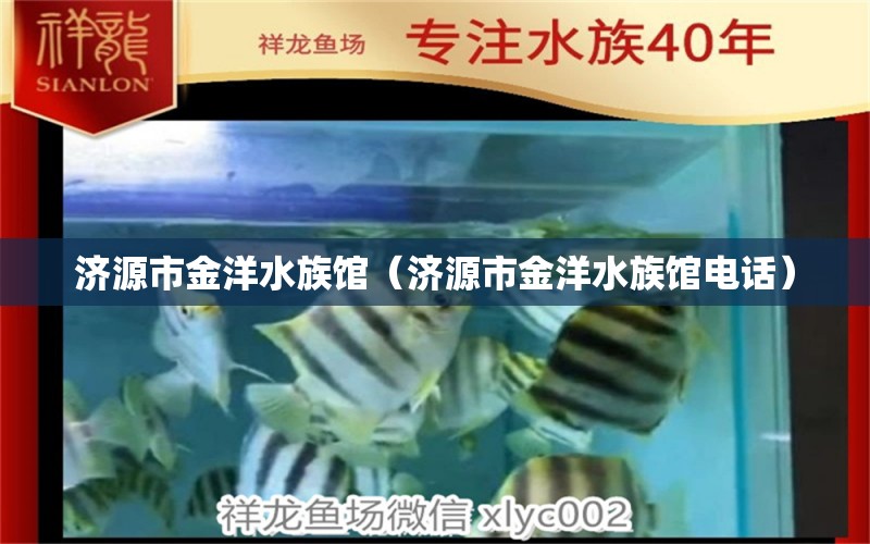 济源市金洋水族馆（济源市金洋水族馆电话）