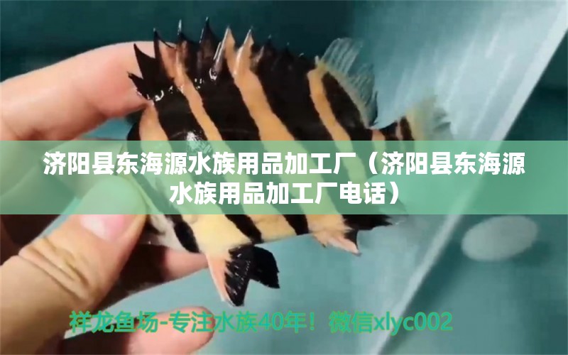 济阳县东海源水族用品加工厂（济阳县东海源水族用品加工厂电话） 水族用品 第1张