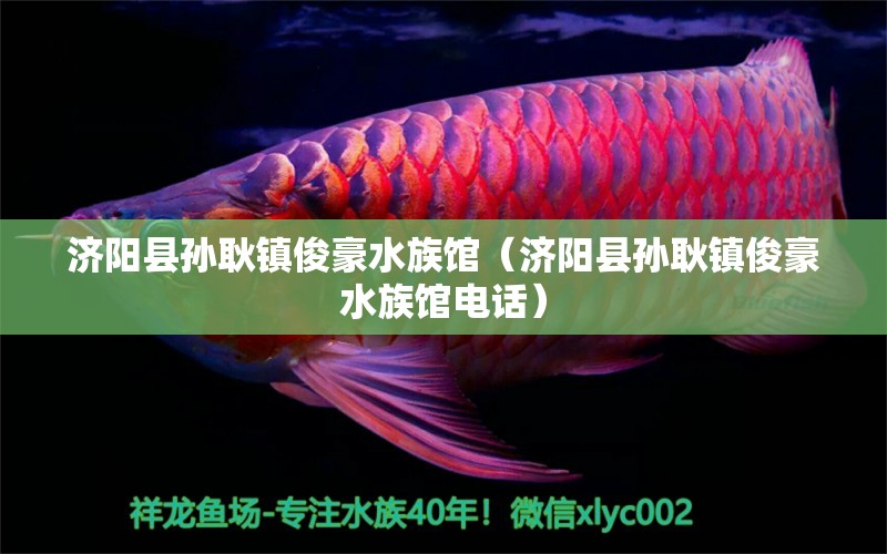 济阳县孙耿镇俊豪水族馆（济阳县孙耿镇俊豪水族馆电话）