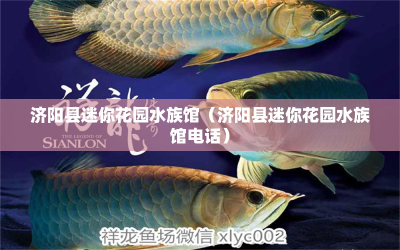 济阳县迷你花园水族馆（济阳县迷你花园水族馆电话） 全国水族馆企业名录