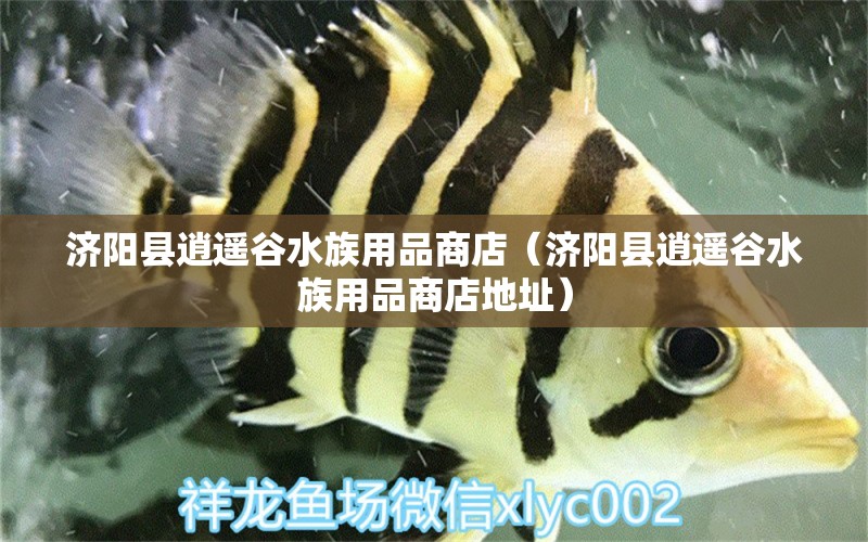 济阳县逍遥谷水族用品商店（济阳县逍遥谷水族用品商店地址） 水族用品