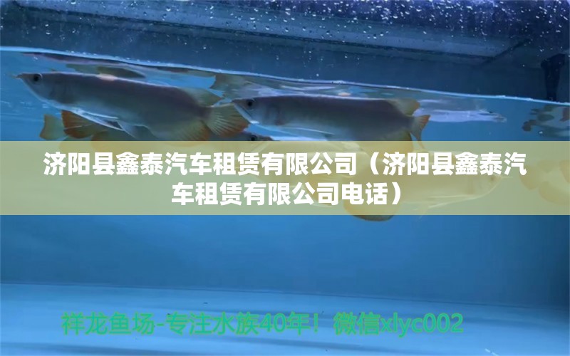 济阳县鑫泰汽车租赁有限公司（济阳县鑫泰汽车租赁有限公司电话） 全国水族馆企业名录