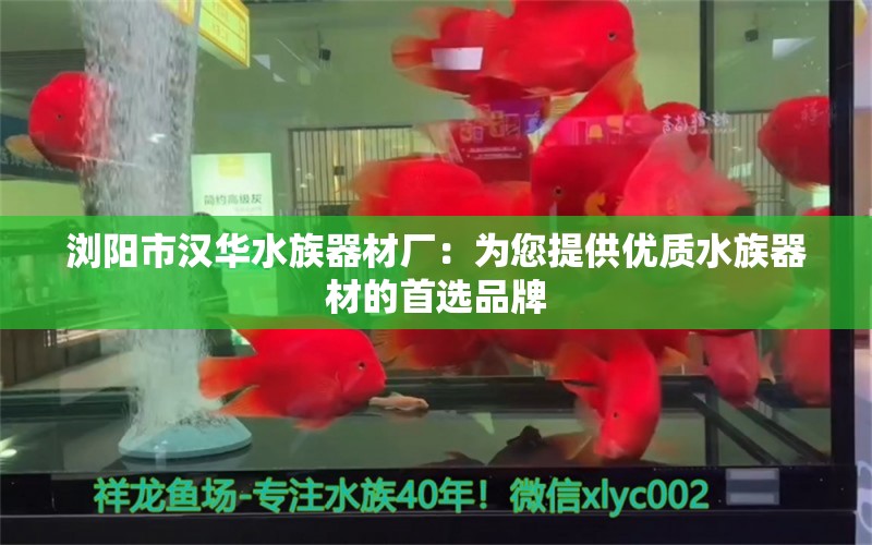 浏阳市汉华水族器材厂：为您提供优质水族器材的首选品牌