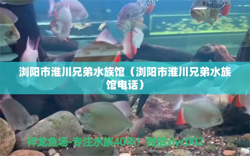 浏阳市淮川兄弟水族馆（浏阳市淮川兄弟水族馆电话） 全国水族馆企业名录