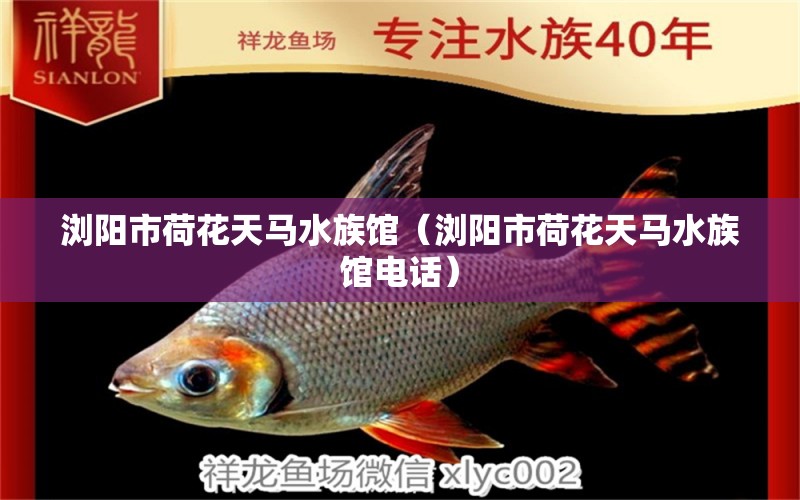 浏阳市荷花天马水族馆（浏阳市荷花天马水族馆电话）