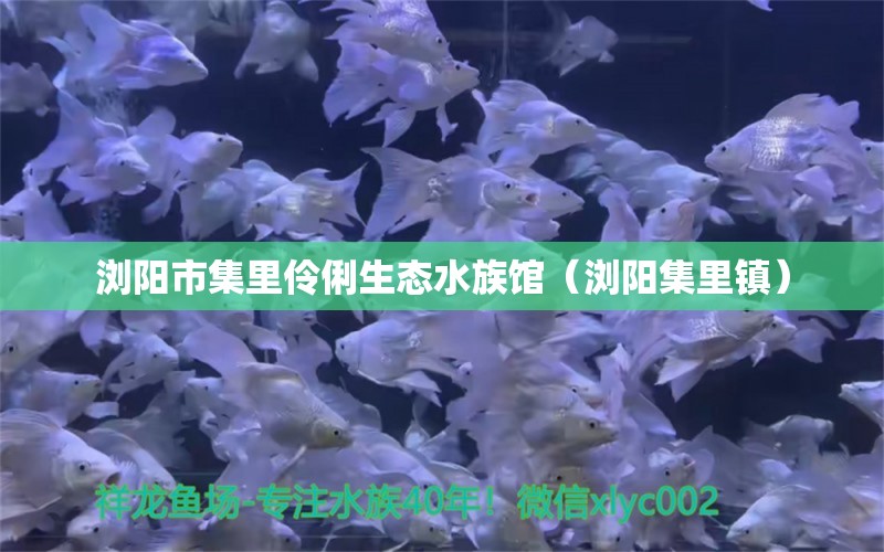 浏阳市集里伶俐生态水族馆（浏阳集里镇） 全国水族馆企业名录