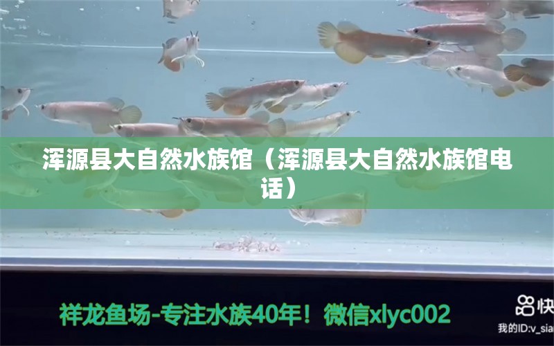 浑源县大自然水族馆（浑源县大自然水族馆电话）