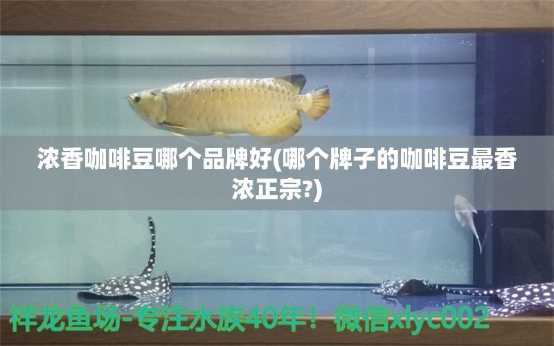 浓香咖啡豆哪个品牌好(哪个牌子的咖啡豆最香浓正宗?)