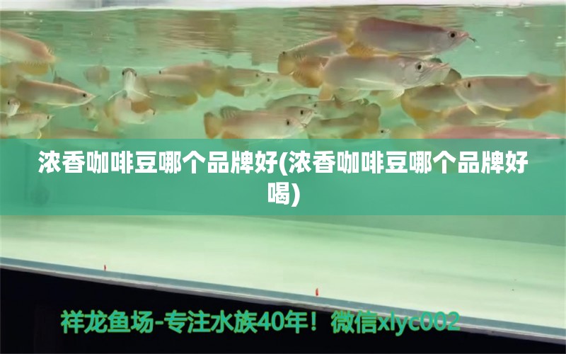 浓香咖啡豆哪个品牌好(浓香咖啡豆哪个品牌好喝)