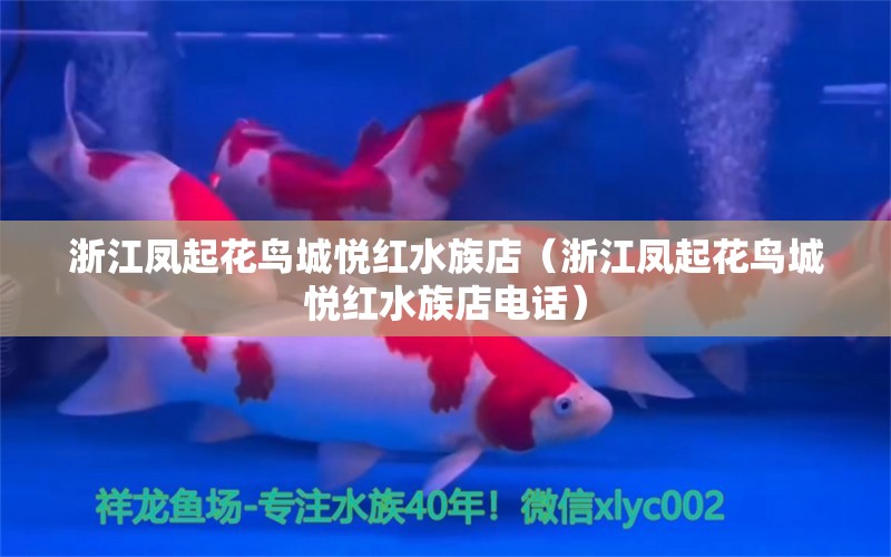 浙江凤起花鸟城悦红水族店（浙江凤起花鸟城悦红水族店电话） 全国水族馆企业名录