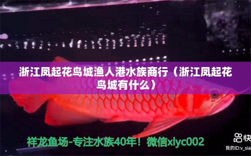 浙江凤起花鸟城渔人港水族商行（浙江凤起花鸟城有什么） 全国水族馆企业名录