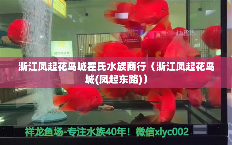 浙江凤起花鸟城霍氏水族商行（浙江凤起花鸟城(凤起东路)）