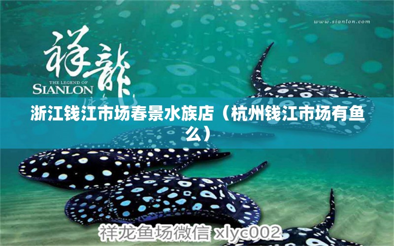 浙江钱江市场春景水族店（杭州钱江市场有鱼么） 全国水族馆企业名录