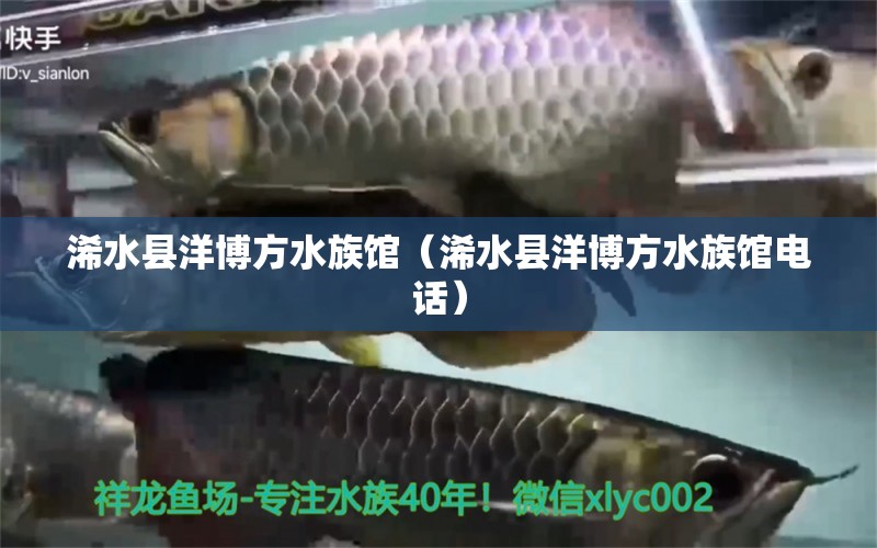 浠水县洋博方水族馆（浠水县洋博方水族馆电话） 全国水族馆企业名录