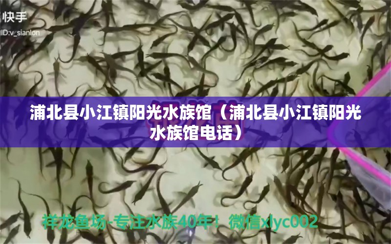 浦北县小江镇阳光水族馆（浦北县小江镇阳光水族馆电话）