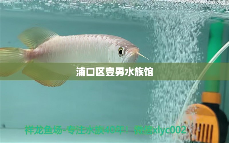 浦口区壹男水族馆