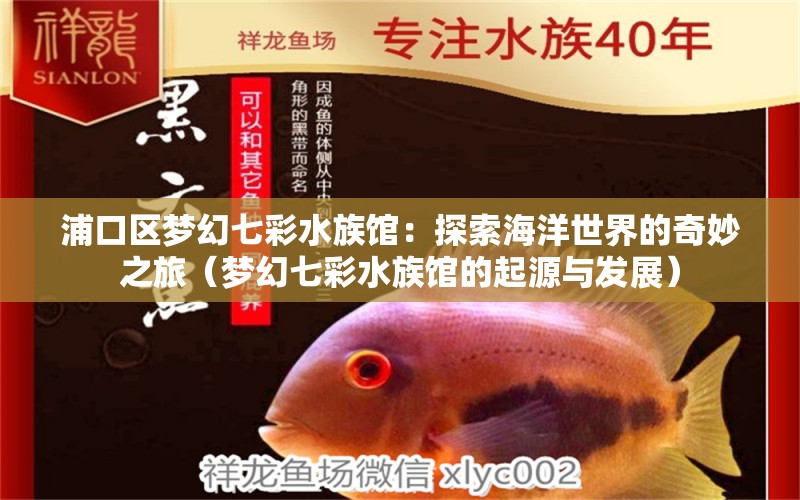 浦口区梦幻七彩水族馆：探索海洋世界的奇妙之旅（梦幻七彩水族馆的起源与发展）