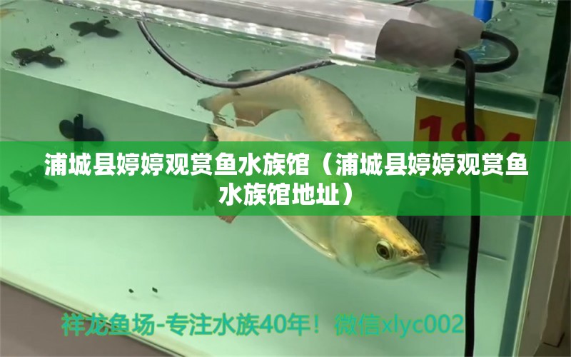 浦城县婷婷观赏鱼水族馆（浦城县婷婷观赏鱼水族馆地址） 全国水族馆企业名录