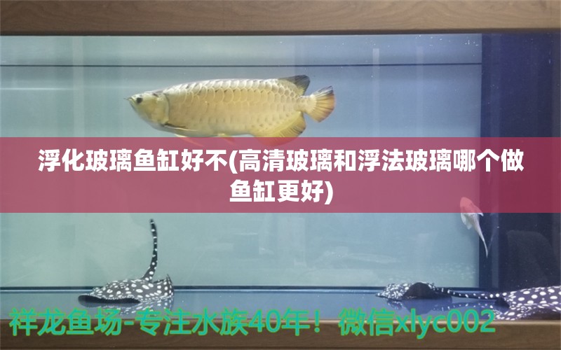 浮化玻璃鱼缸好不(高清玻璃和浮法玻璃哪个做鱼缸更好)