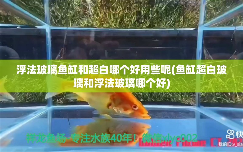 浮法玻璃鱼缸和超白哪个好用些呢(鱼缸超白玻璃和浮法玻璃哪个好)