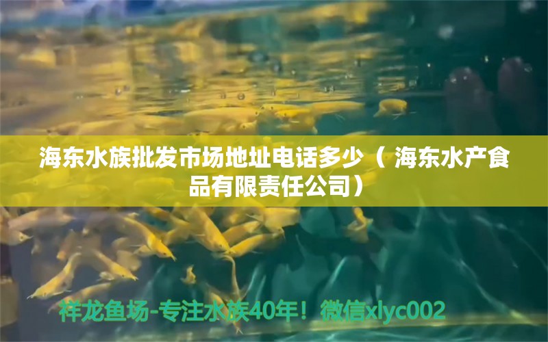 海东水族批发市场地址电话多少（ 海东水产食品有限责任公司） 狗狗（犬） 第1张