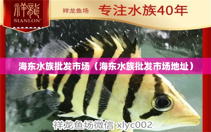 海东水族批发市场（海东水族批发市场地址）