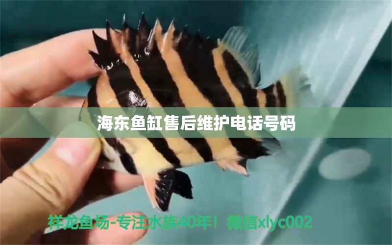 海东鱼缸售后维护电话号码 其他品牌鱼缸