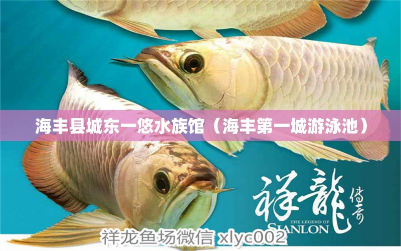 海丰县城东一悠水族馆（海丰第一城游泳池）