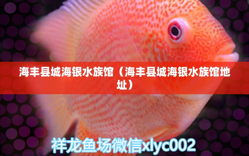 海丰县城海银水族馆（海丰县城海银水族馆地址）