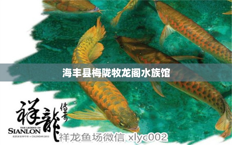 海丰县梅陇牧龙阁水族馆 全国水族馆企业名录