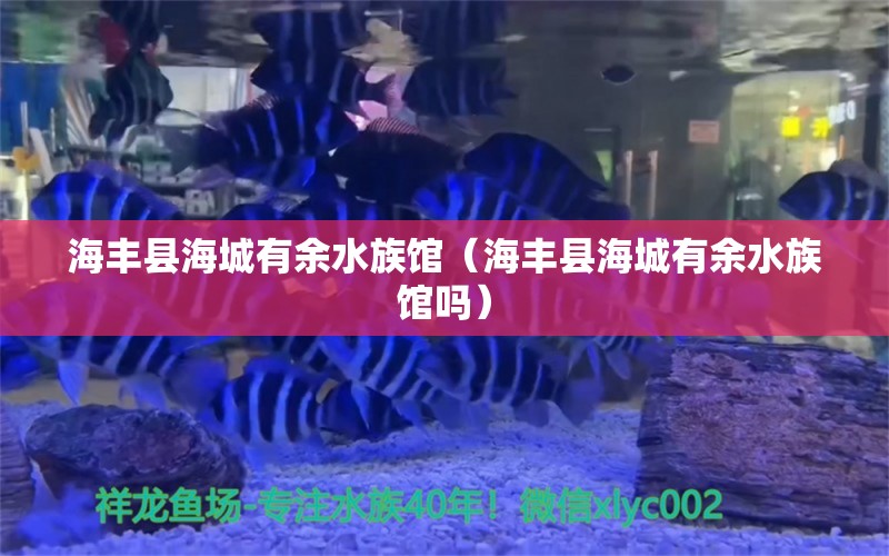 海丰县海城有余水族馆（海丰县海城有余水族馆吗） 全国水族馆企业名录