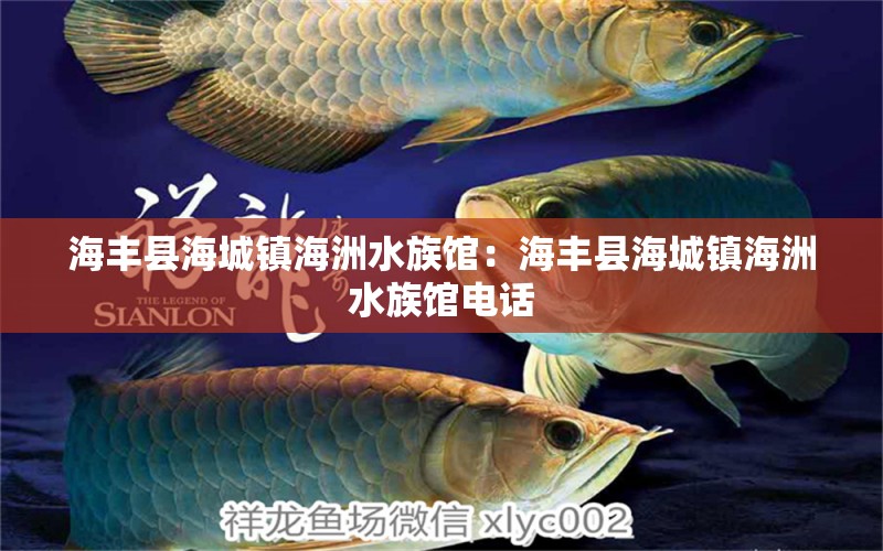 海丰县海城镇海洲水族馆：海丰县海城镇海洲水族馆电话 全国水族馆企业名录