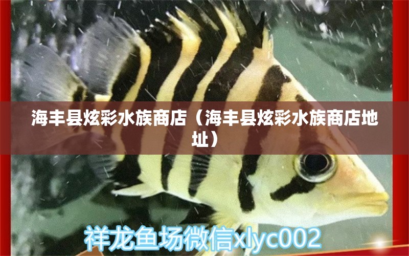 海丰县炫彩水族商店（海丰县炫彩水族商店地址） 全国水族馆企业名录