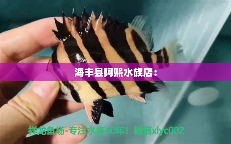 海丰县阿熙水族店：